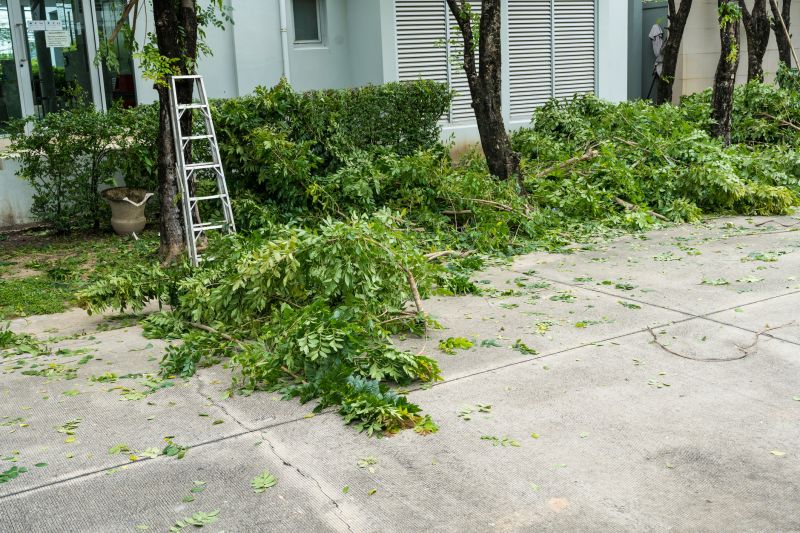 Dead Tree Removal in Montgomery County, PA