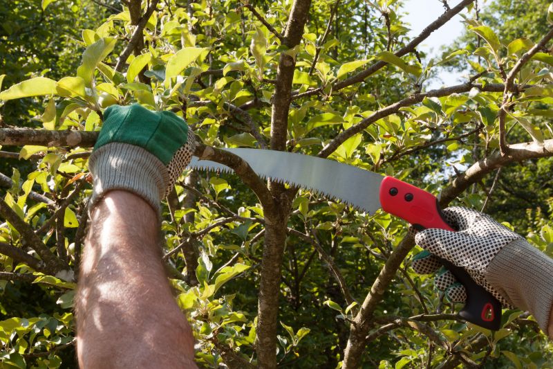 Spruce Tree Pruning