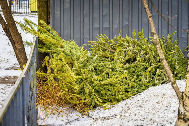 Decorative Spruce Branches