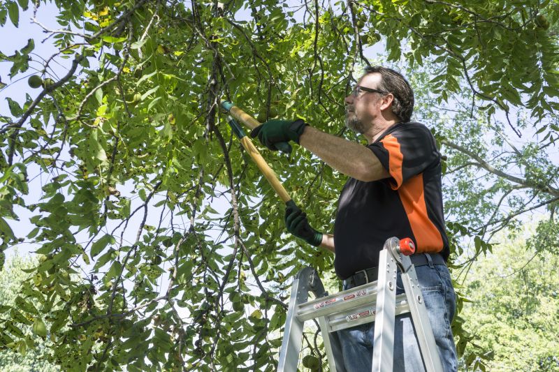 Structural Tree Pruning